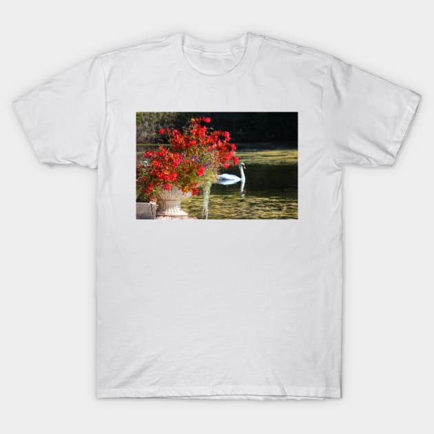 Swan And Flowers T-Shirt by Cynthia48